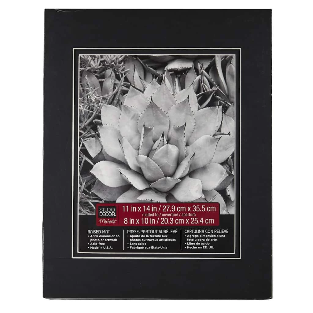 Best deal π€© 11" x 14" Raised Double Mat By Studio Décor®, 8" x 10" Opening by Studio Decor β 1 Best deal π€© 11" x 14" Raised Double Mat By Studio Décor®, 8" x 10" Opening by Studio Decor β