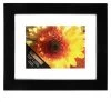 Discount 🔥 Black Float Gallery Frame by Studio Décor® by Studio Decor 🔔