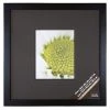 Cheap 🎁 8 Pack: Black Square 8" x 10" Frame with Black Double Mat, Gallery by Studio Décor® by Studio Decor ❤️