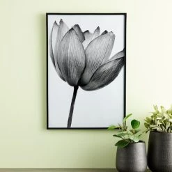 Best Pirce 🔔 Black Multipurpose Frame, Basics By Studio Décor® by Studio Decor ❤️ -Studio Decor shop 10477545 20 1