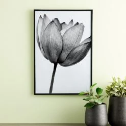 Best Pirce 🔔 Black Multipurpose Frame, Basics By Studio Décor® by Studio Decor ❤️