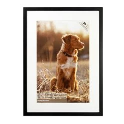 Brand new ❤️ Black Tyler Frame, Home Collection By Studio Décor® by Studio Decor 👏