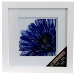 Cheap 😉 8 Pack: White Square Gallery Wall Frame with Double Mat by Studio Décor® by Studio Decor 🧨